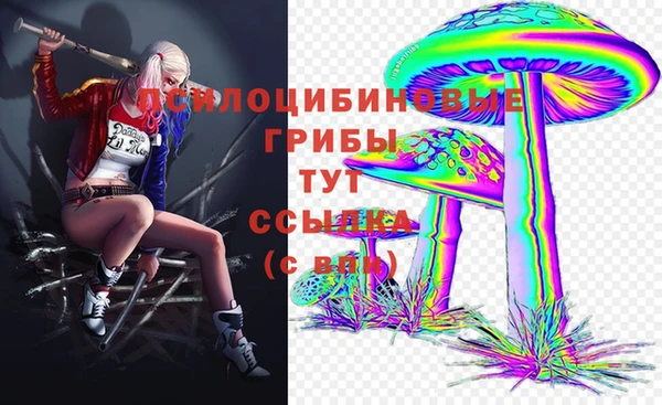 apvp Абинск