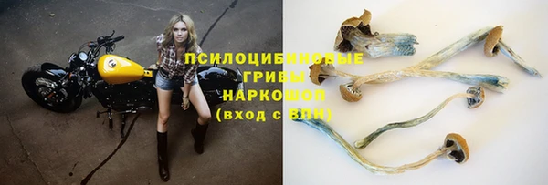 тгк Абдулино