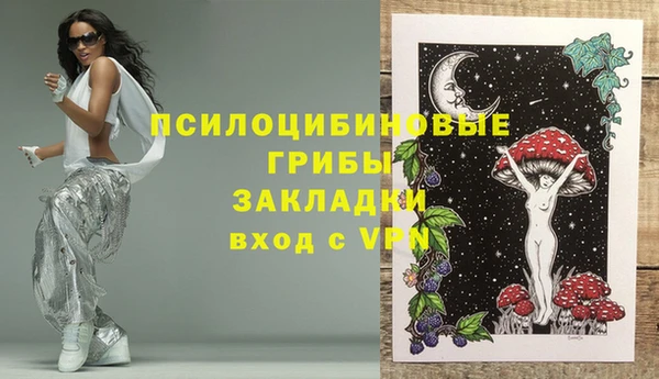 тгк Абдулино