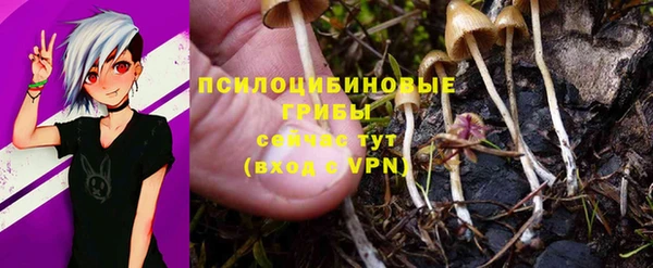 apvp Абинск